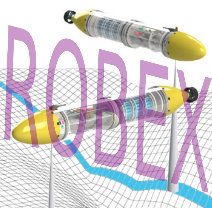 ROBEX