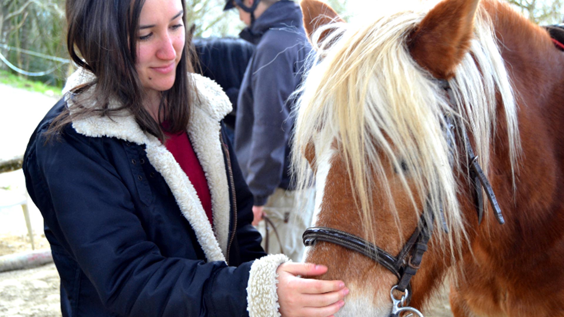 ENSTA Bretagne : Equitation association sportive