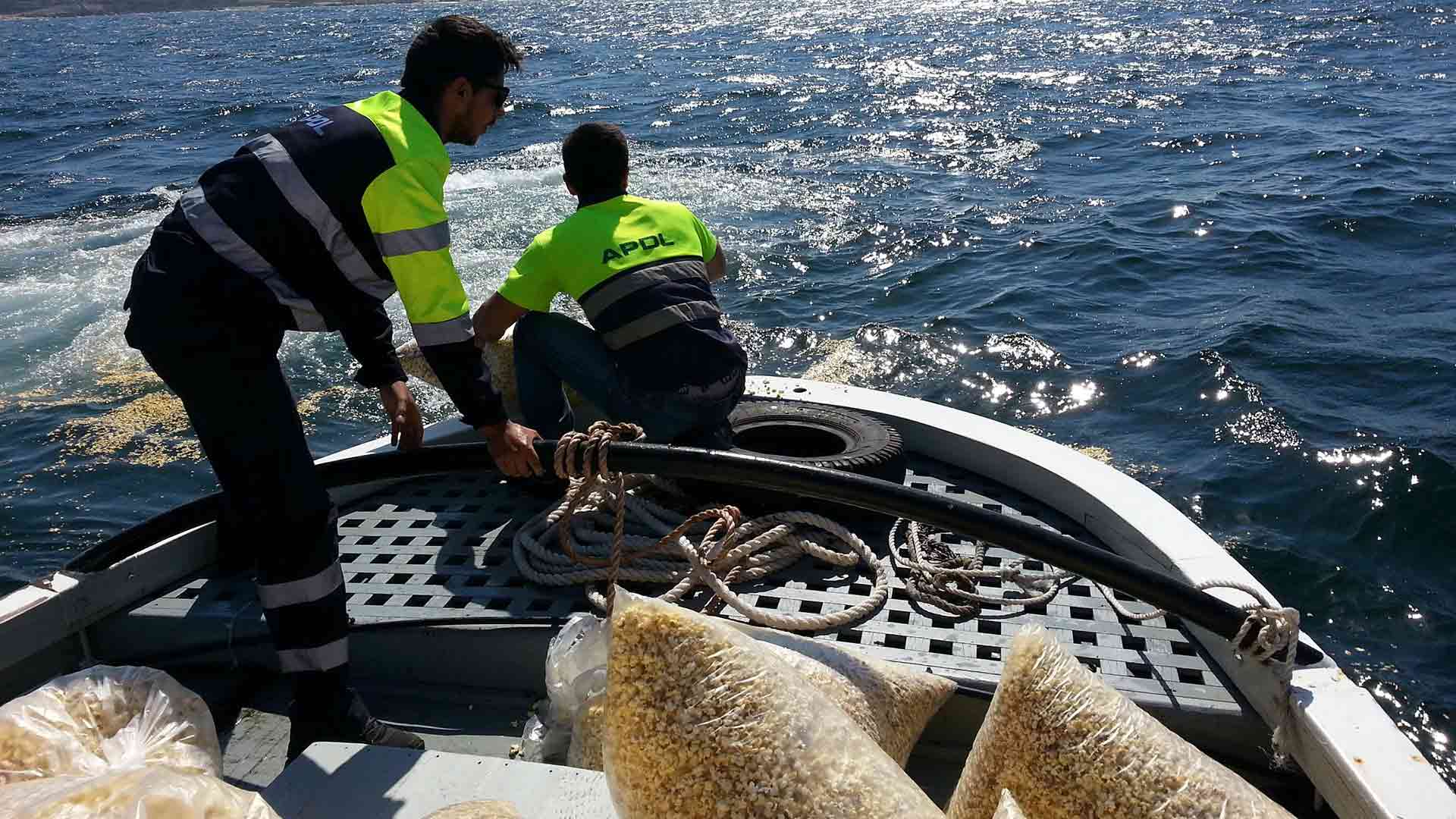 ENSTA Bretagne: sea pollution detection research project