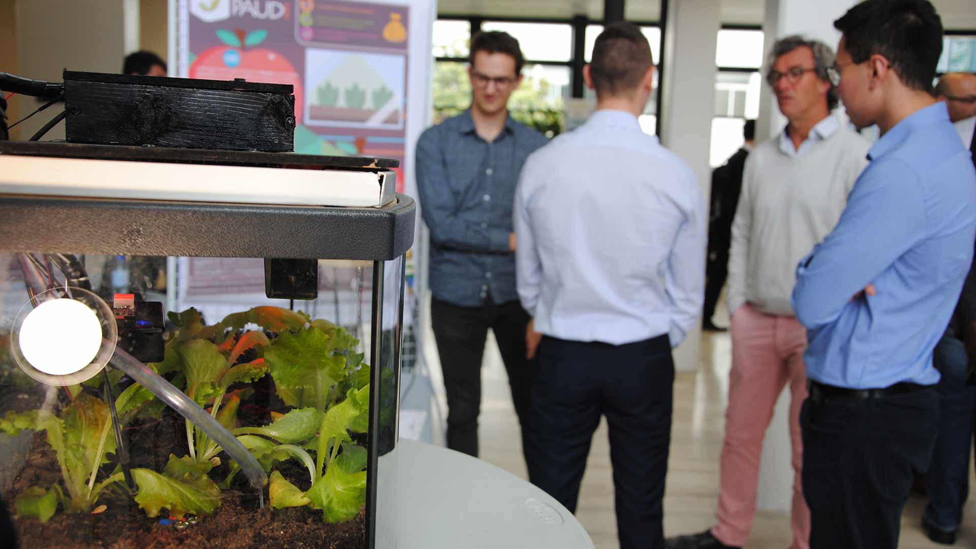 ENSTA Bretagne : Projet réalisé par des étudiants de 2e année de potager autonome