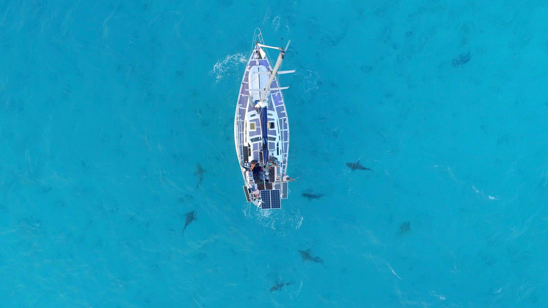 ENSTA Bretagne : Projet Lords of the Ocean