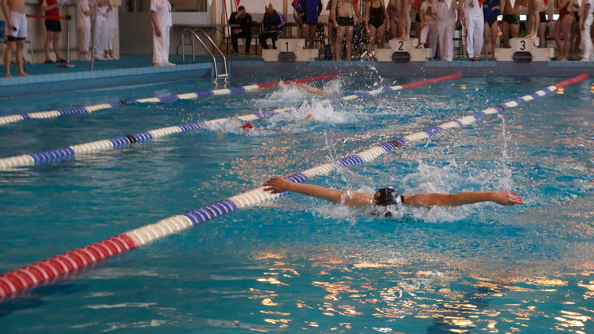 ENSTA Bretagne : Compétition de natation lors du TSGED