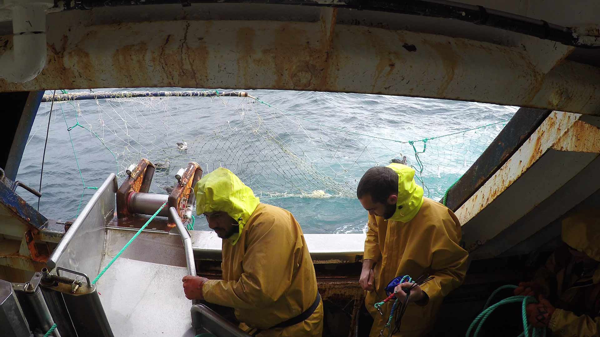 ENSTA Bretagne : pêche à la palangre