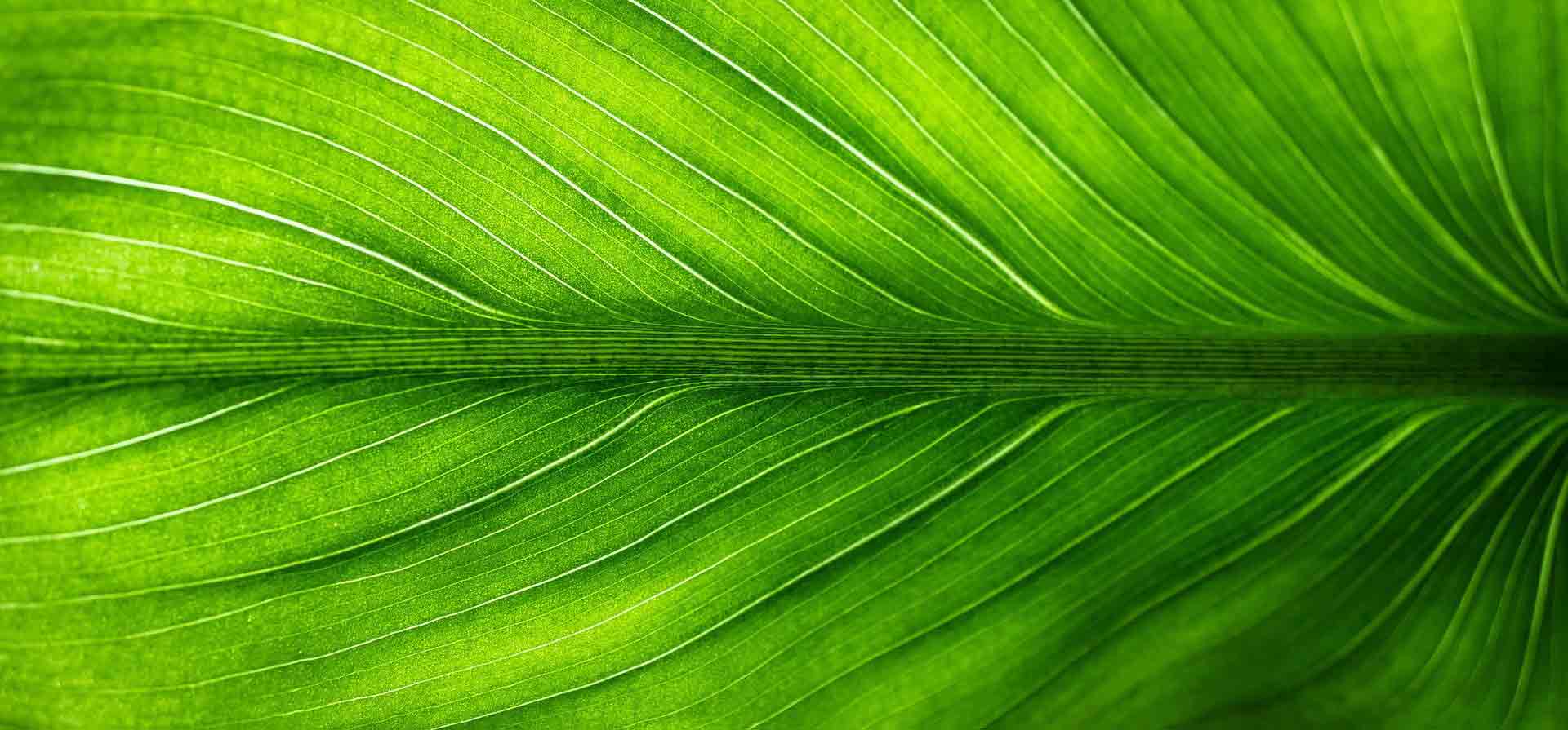 ENSTA Bretagne : relever les défis environnementaux et sociétaux