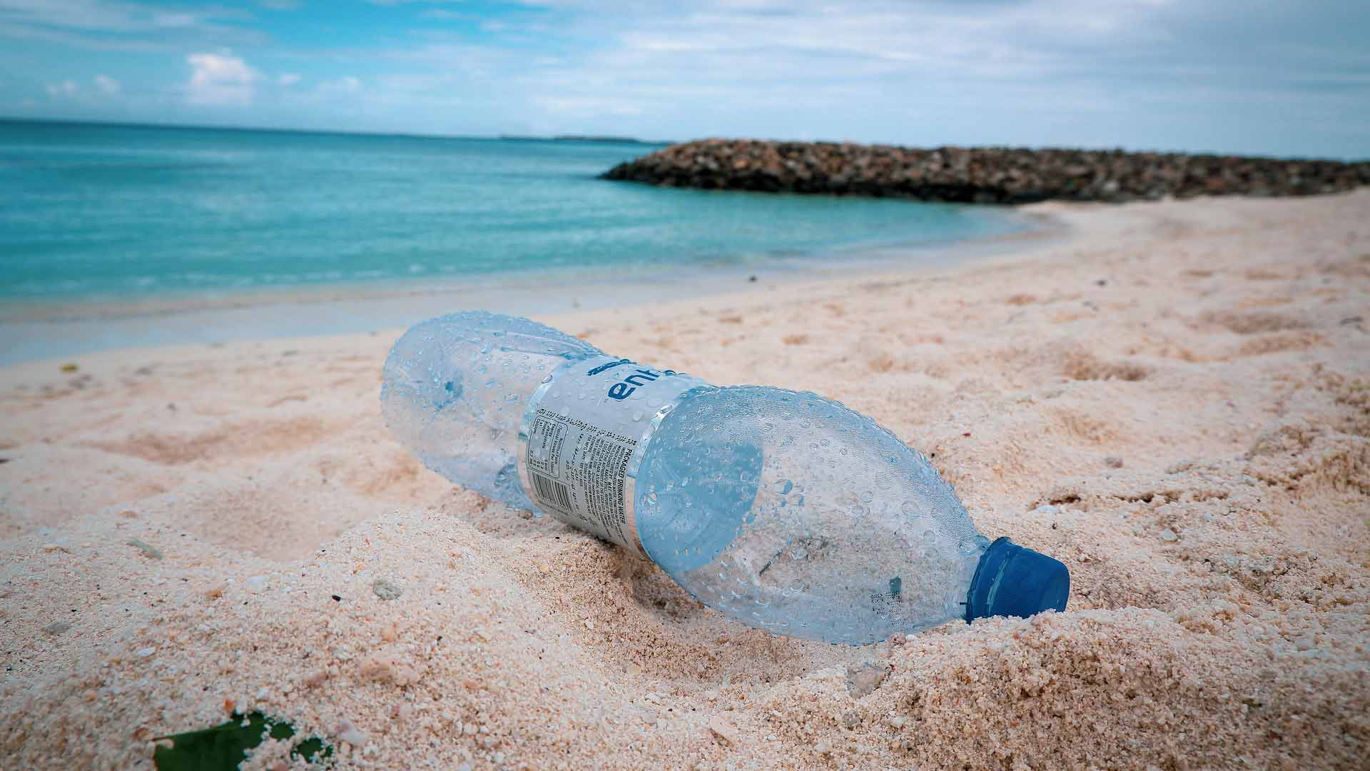 ENSTA Bretagne : projet d'entrepreneuriat étudiant associant nettoyage des océans et pratique de la voile