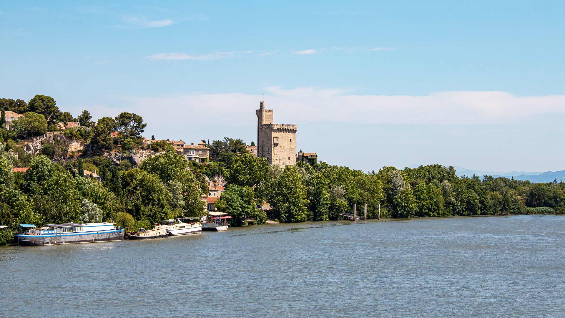 Avignon