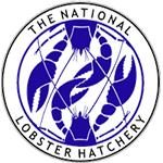 Logo National Hobster Archery