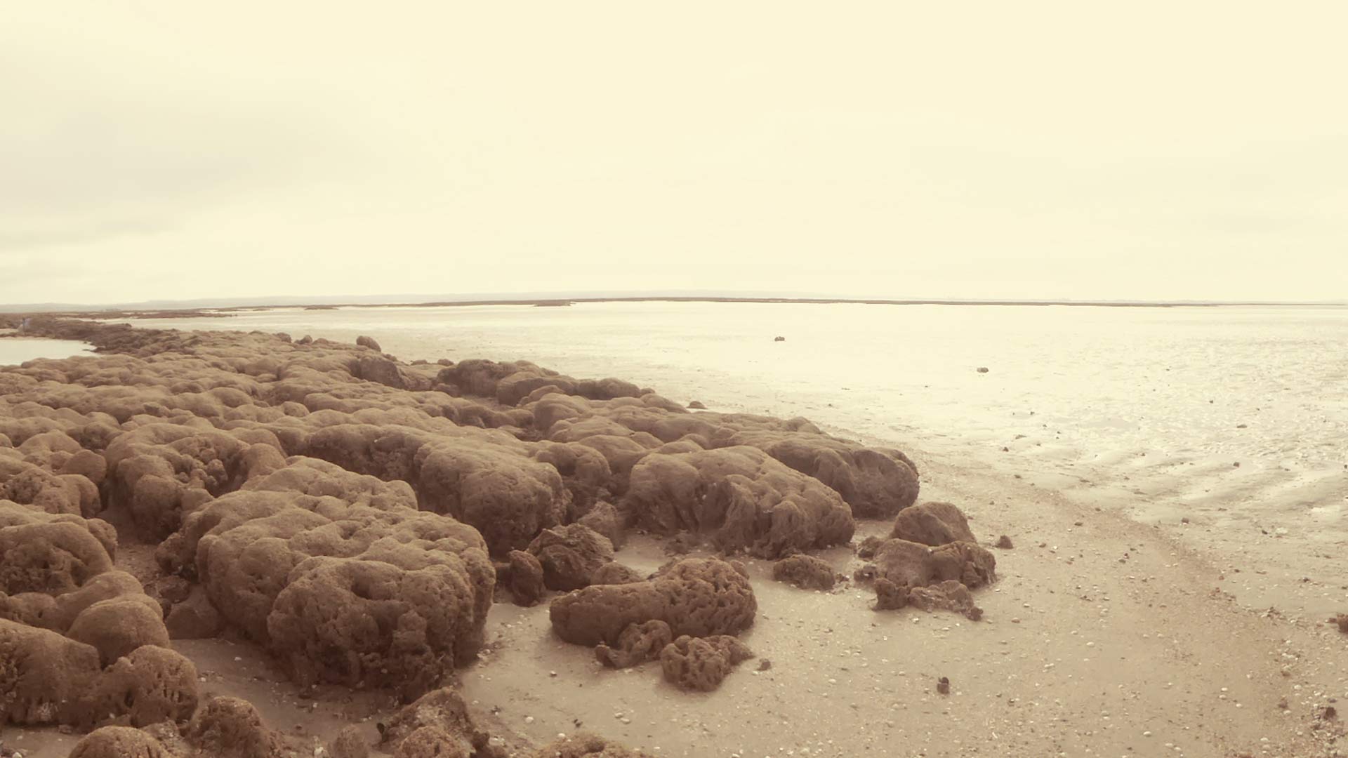 ENSTA Bretagne : paysage maritime