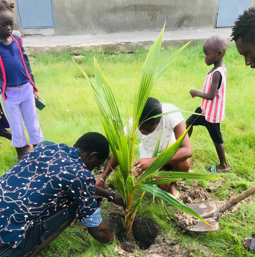ENSTA Bretagne : plantation d'un arbre dans la cour de l'école, Sénégal