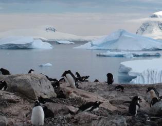 ENSTA Bretagne : une expérience d'hivernage avec l'Institut polaire français