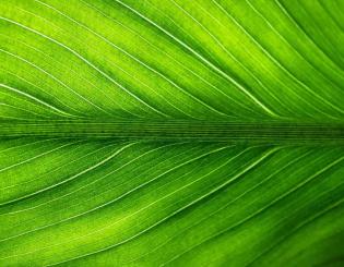 ENSTA Bretagne : relever les défis environnementaux et sociétaux