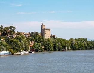 Avignon