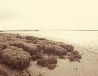 ENSTA Bretagne : paysage maritime
