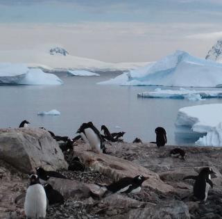 ENSTA Bretagne : une expérience d'hivernage avec l'Institut polaire français