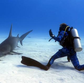 ENSTA Bretagne : projet Alumni Lords of the Ocean