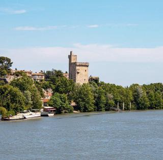 Avignon