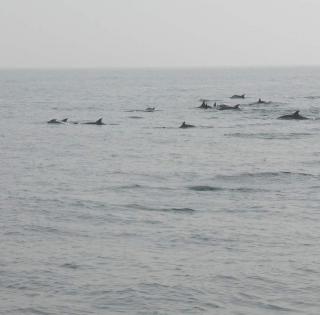 ENSTA Bretagne : Mise en place d'un observatoire en mer d'Iroise
