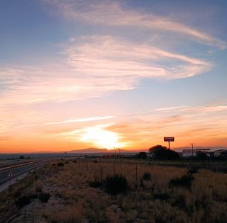 paysage 