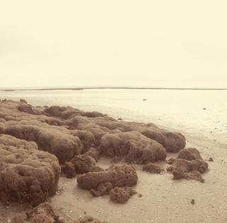 ENSTA Bretagne : paysage maritime